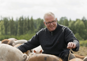 Glade grise smager bedst